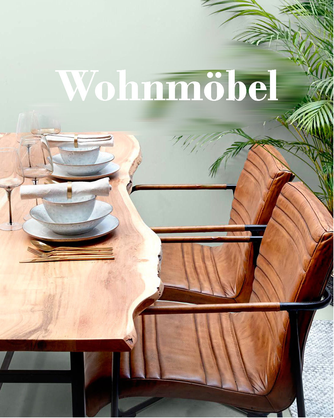 Wohnmöbel